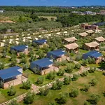 Voliera, Papafigo *