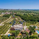 Voliera, Papafigo Vila *