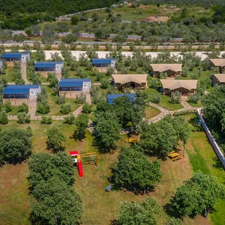 Voliera, Papafigo * Vodnjan