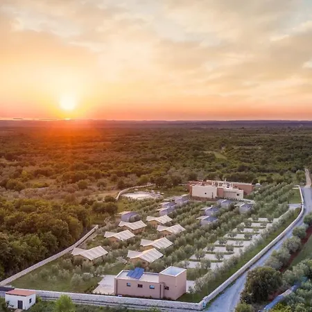 Villa Voliera, Papafigo