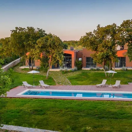 Villa Voliera, Papafigo