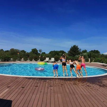 Voliera, Papafigo * Vodnjan