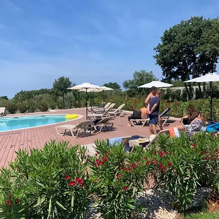 Voliera, Papafigo Vodnjan