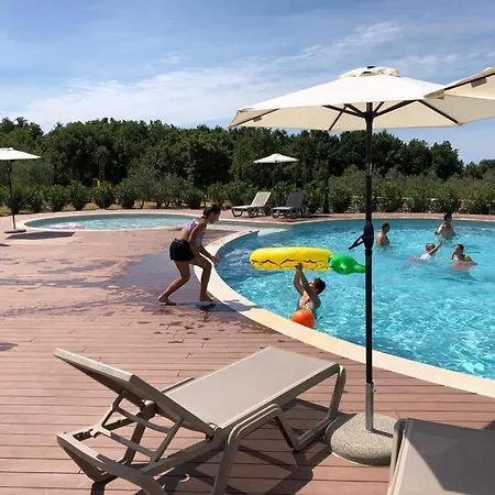 Villa Voliera, Papafigo *