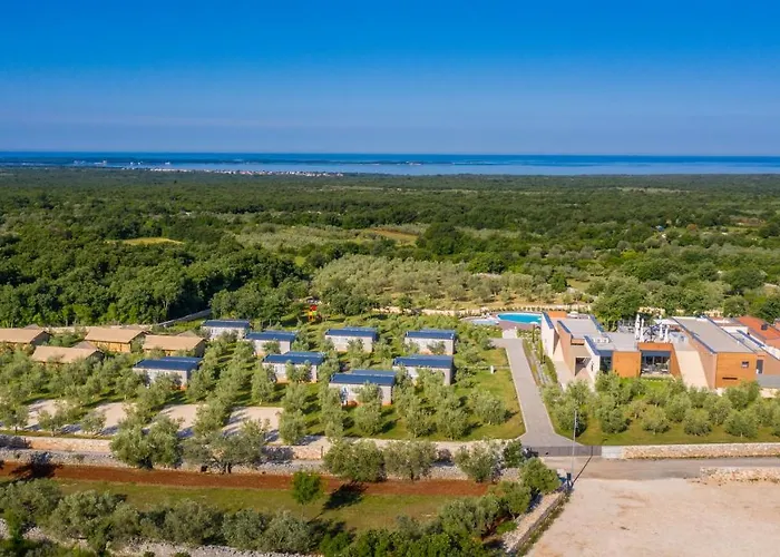 Voliera, Papafigo *