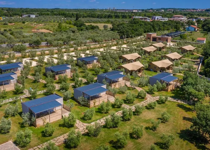 Voliera, Papafigo *