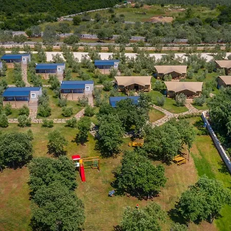 Voliera, Papafigo * Vodnjan